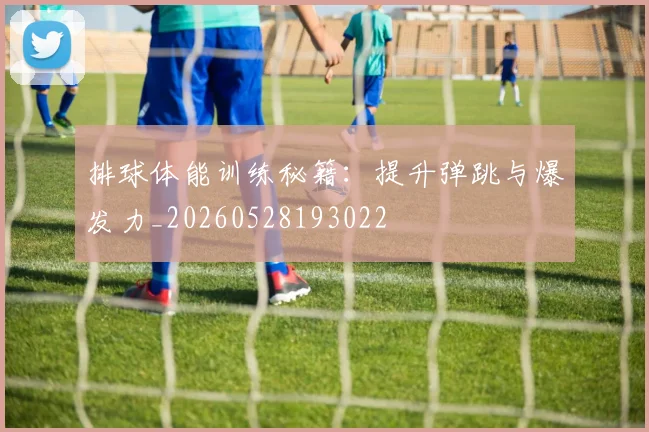 排球体能训练秘籍：提升弹跳与爆发力_20260528193022