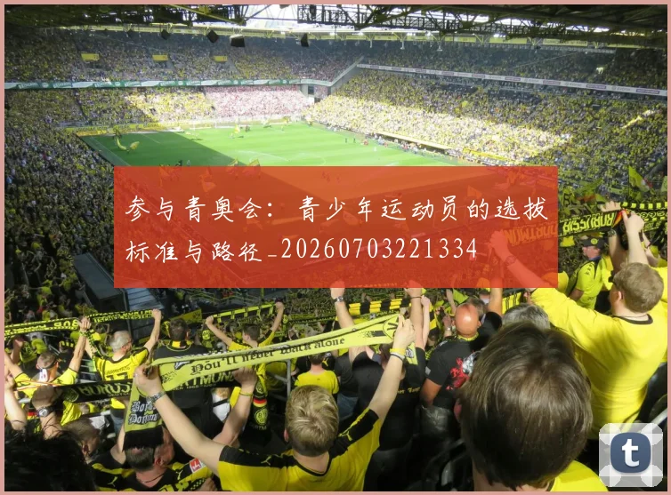 参与青奥会：青少年运动员的选拔标准与路径_20260703221334
