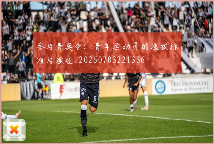 参与青奥会:青年运动员的选拔标准与途径_20260703221336